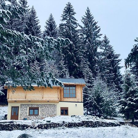 Magia Di Montagna Villa Zabljak  Ngoại thất bức ảnh