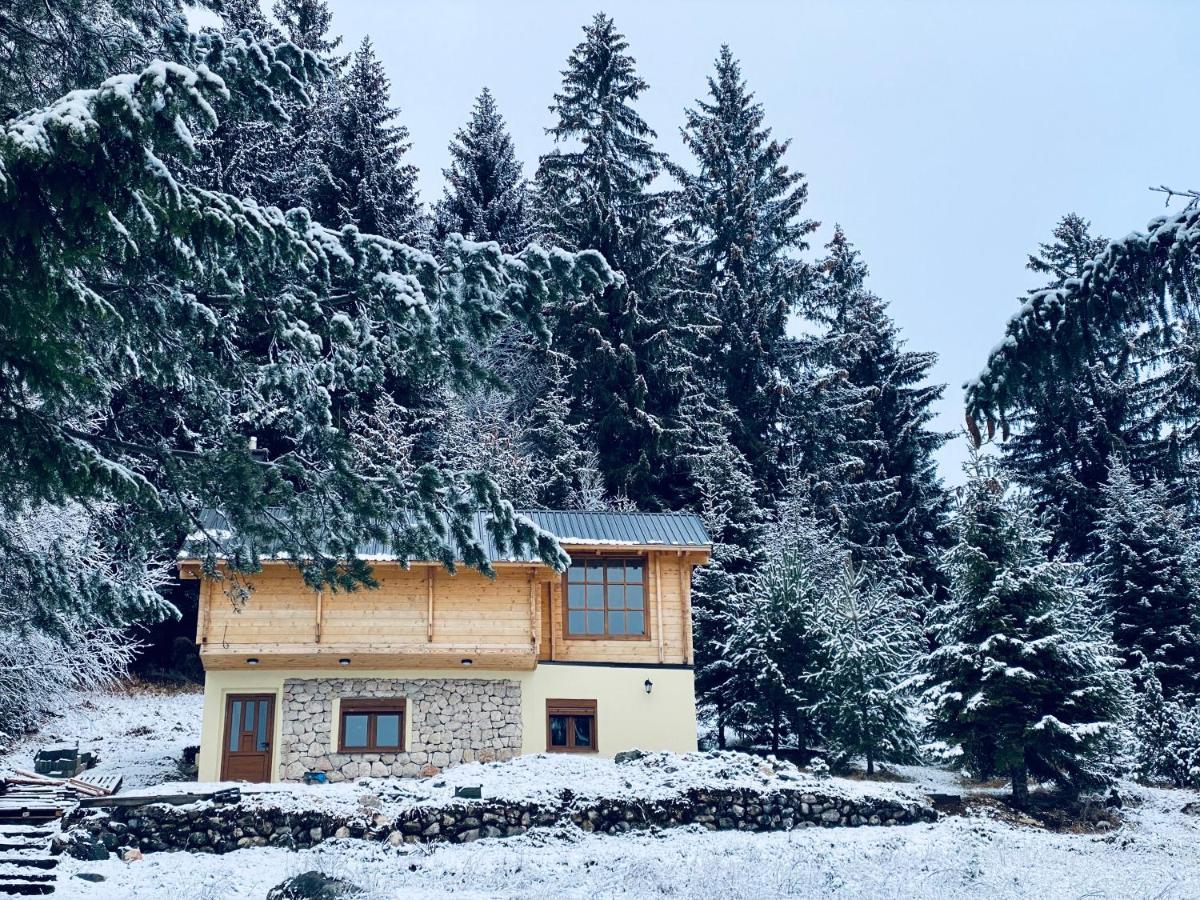 Magia Di Montagna Villa Zabljak  Ngoại thất bức ảnh