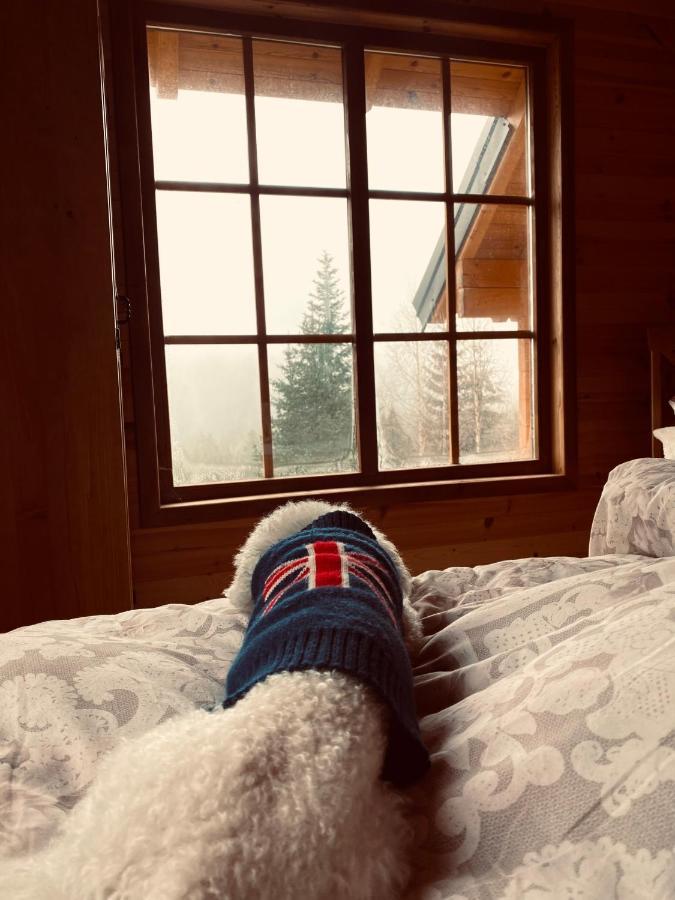 Magia Di Montagna Villa Zabljak  Ngoại thất bức ảnh