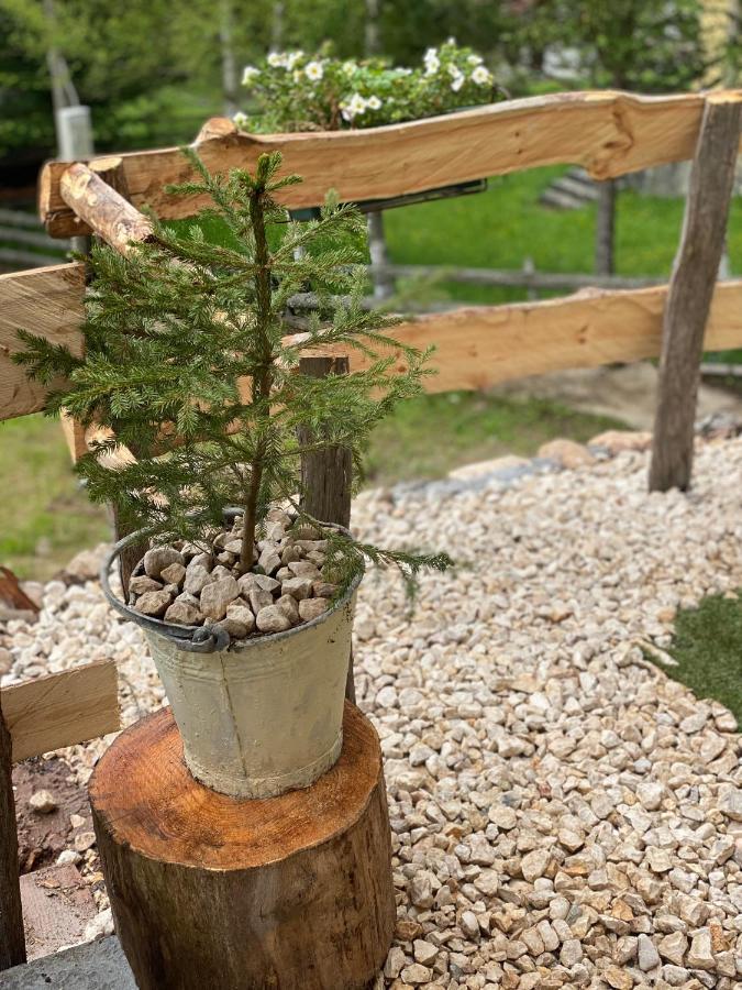 Magia Di Montagna Villa Zabljak  Ngoại thất bức ảnh