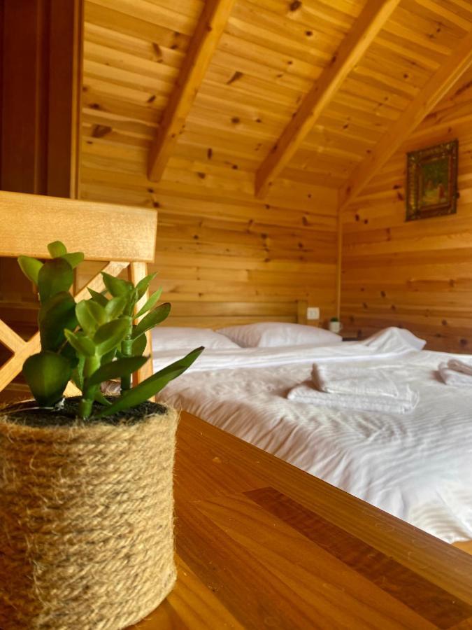 Magia Di Montagna Villa Zabljak  Ngoại thất bức ảnh