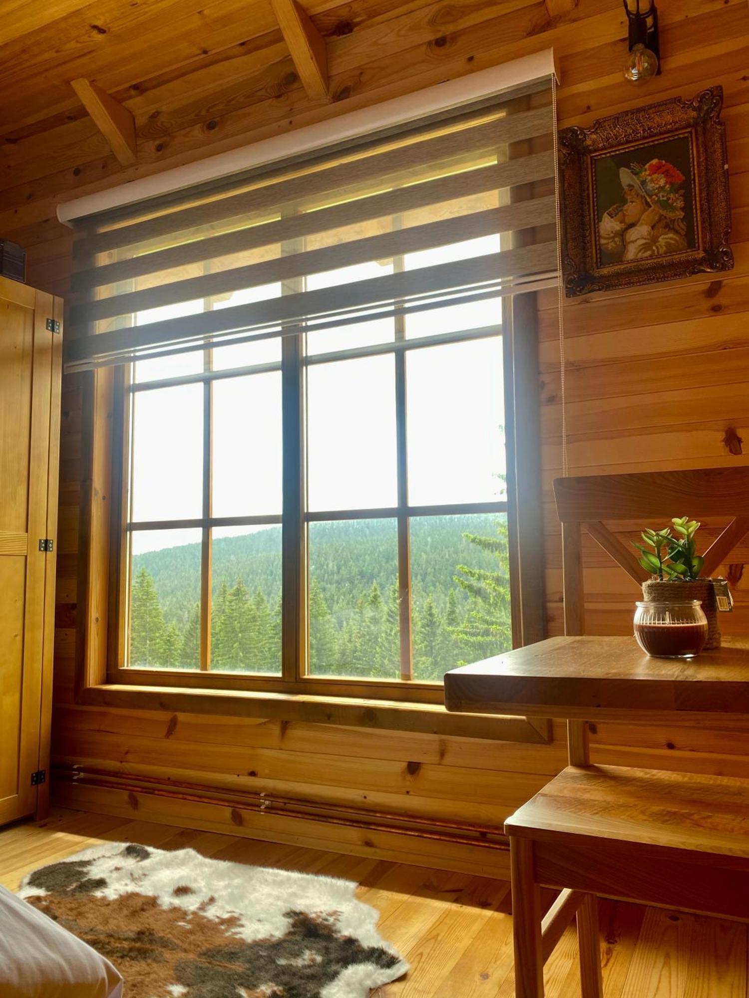 Magia Di Montagna Villa Zabljak  Ngoại thất bức ảnh